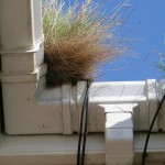 gutter cleaning with grass